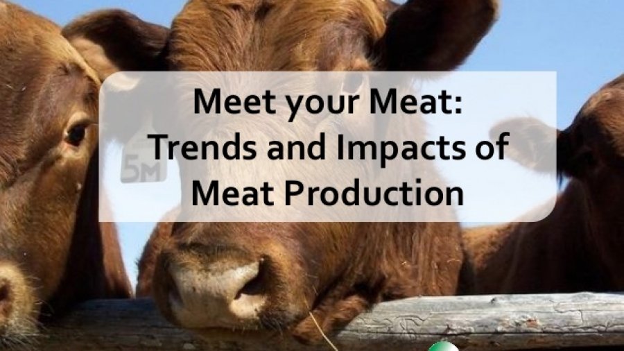meet-your-meat-trends-and-impact-of-meat-production-1-638