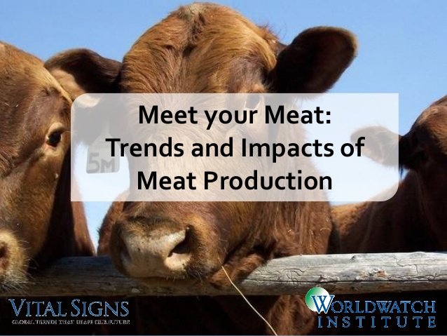 meet-your-meat-trends-and-impact-of-meat-production-1-638