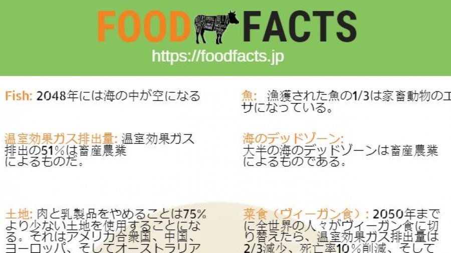 food facts snippet3