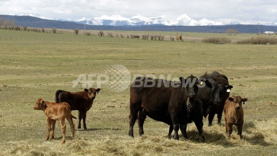 「温暖化ガス排出食」の王者は牛肉、畜産分野の約80％